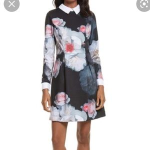 Ted baker size 0 dress long sleeve floral collared